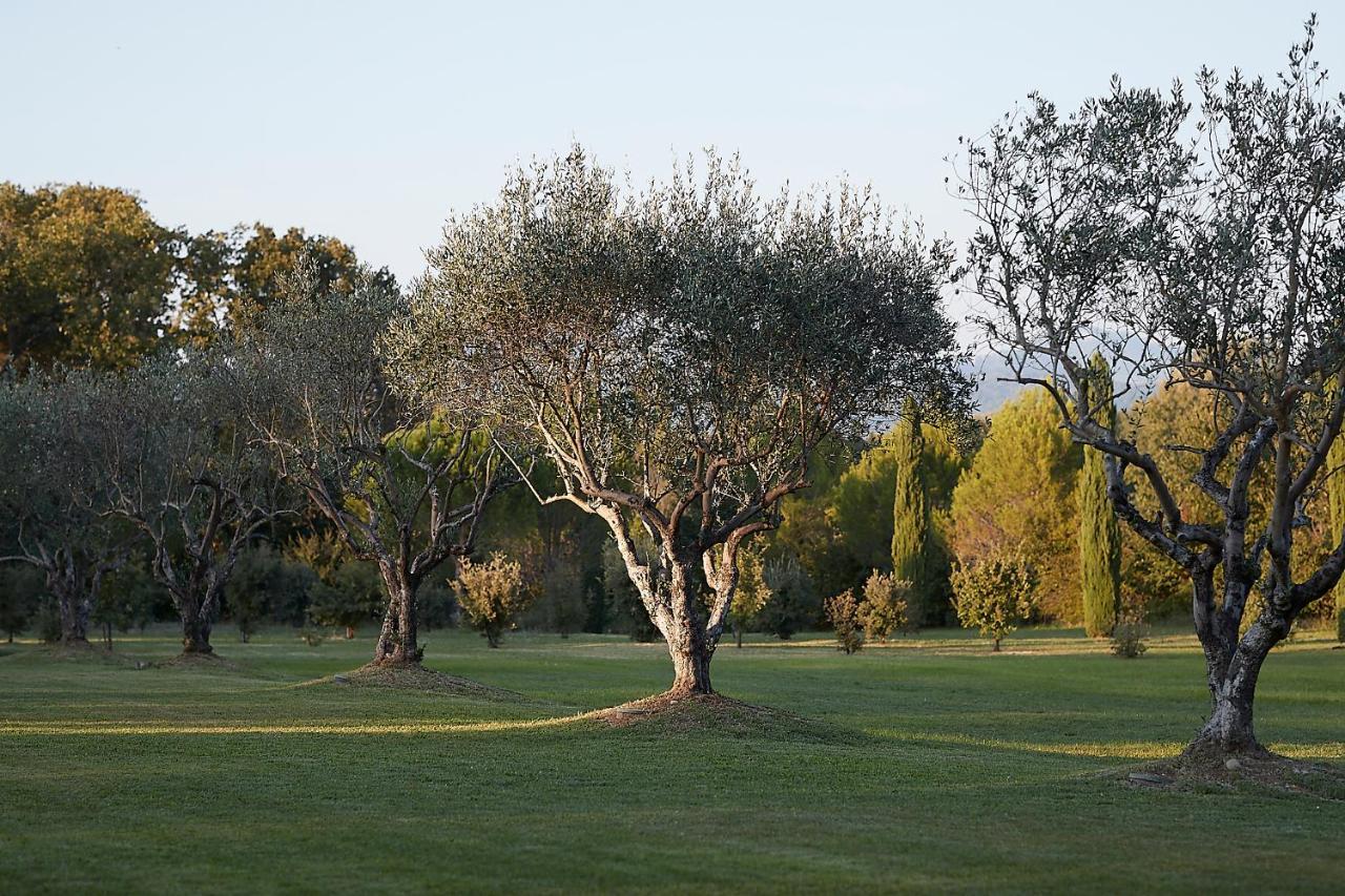 מלון מונטה Mas Des Songes מראה חיצוני תמונה